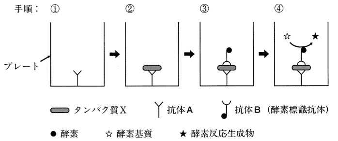 解説画像